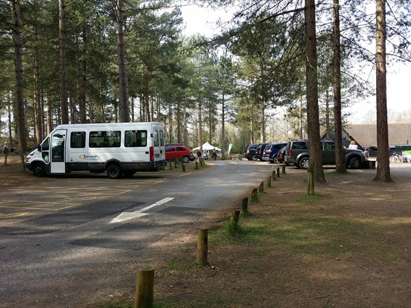 Picture of Moors Valley Country Park - Separate parking area for blue badge holders near the main entrance.
