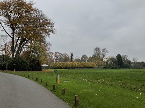 Image of a park path