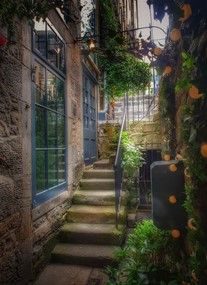 Marlin's Wynd