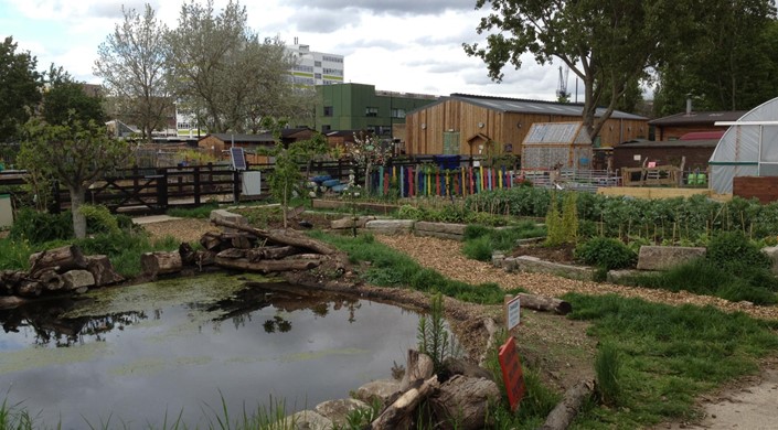 Stepney City Farm