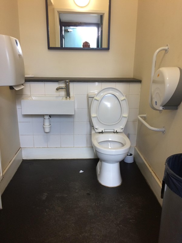 Accessible toilet