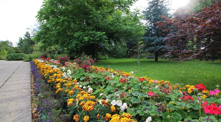 Biblical Garden