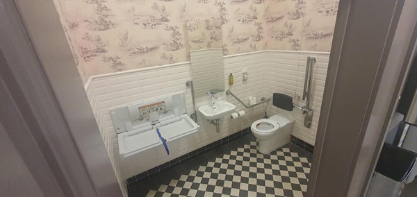 Image of the accessible toilet in the hotel.