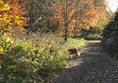 Farm lane