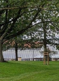 Castle Gardens