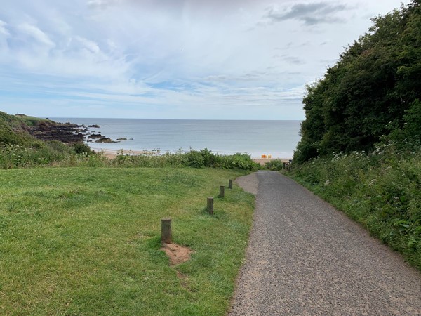 Picture of Coldingham Bay