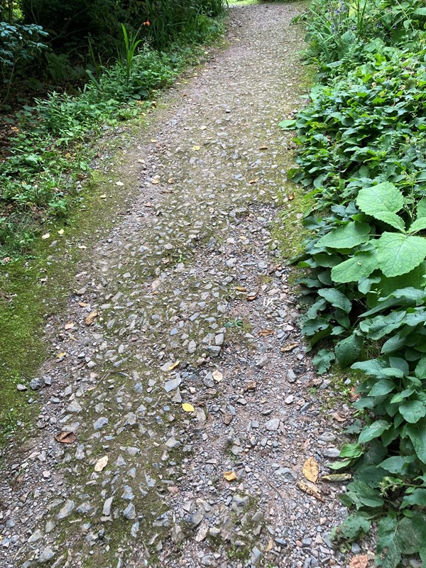 Narrow uneven paths in the garden