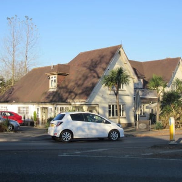 The Bear Cross