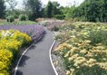 Picture of Breezy Knees Garden