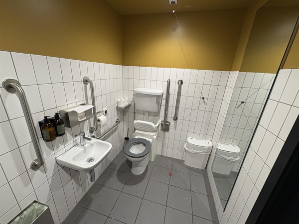 The accessible toilet