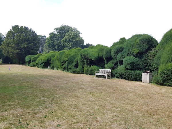 Picture of Walmer Castle and Gardens