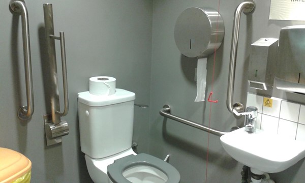 Drop down rails and handrails by the sink, pull cord for assistance and lever action tap for ease.