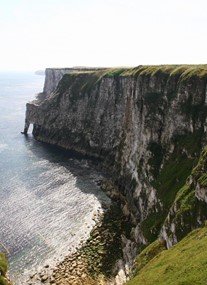 RSPB Bempton Cliffs