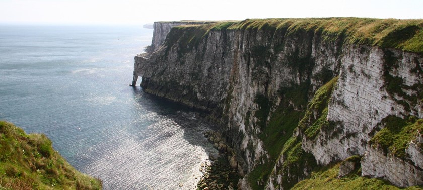 RSPB Bempton Cliffs