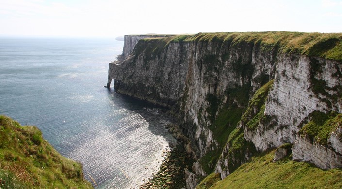 RSPB Bempton Cliffs