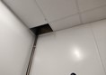 Image is of a red safety cord that has been cut about 4 inches from the ceiling tiles