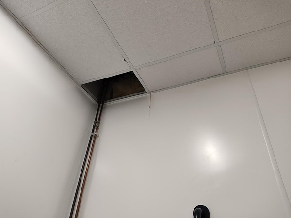 Image is of a red safety cord that has been cut about 4 inches from the ceiling tiles