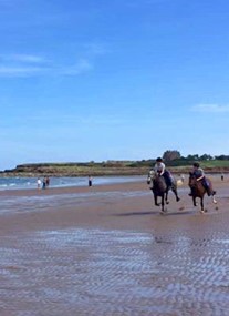 Haughhead Stables