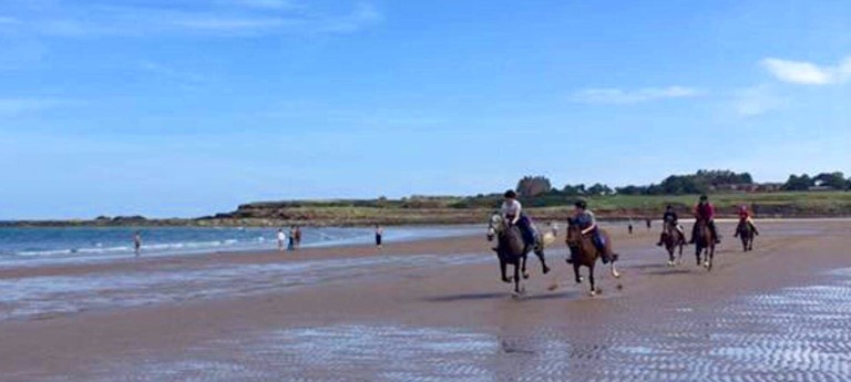 Haughhead Stables