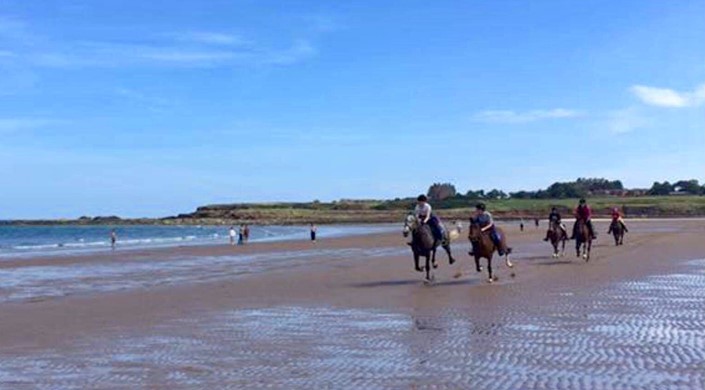 Haughhead Stables