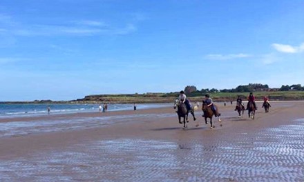 Haughhead Stables