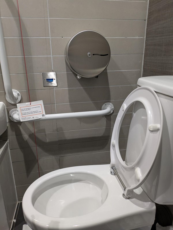 Image of accessible toilet