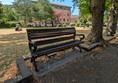 Image of a bench in the park