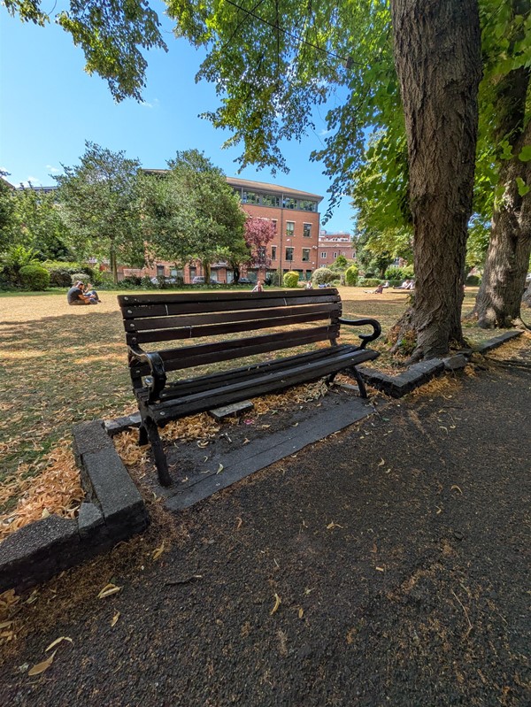 Image of a bench in the park