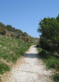 Durlston Country Park