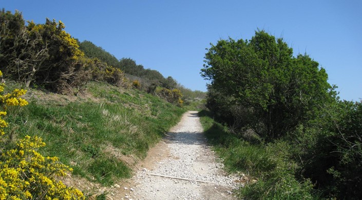 Durlston Country Park