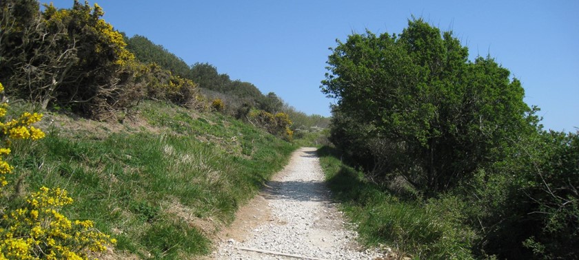 Durlston Country Park