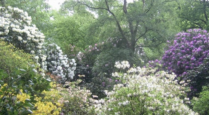 Moorlands Nature Reserve