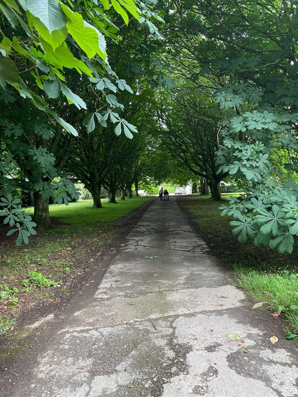 Image of a path