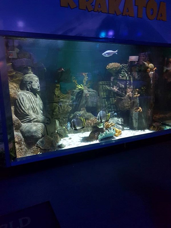 Picture of Deep Sea World, North Queensferry