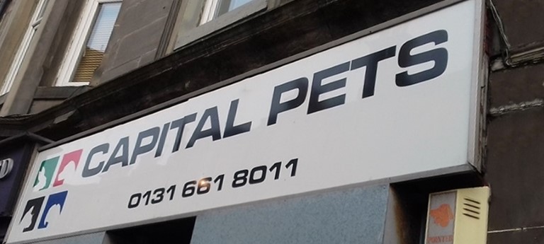 At deals capital pet